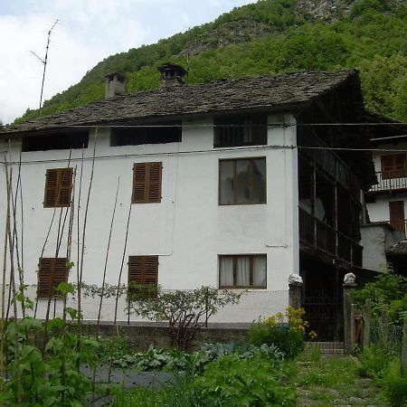 Le Mie Radici Bed & Breakfast สโกเปลโล ภายนอก รูปภาพ