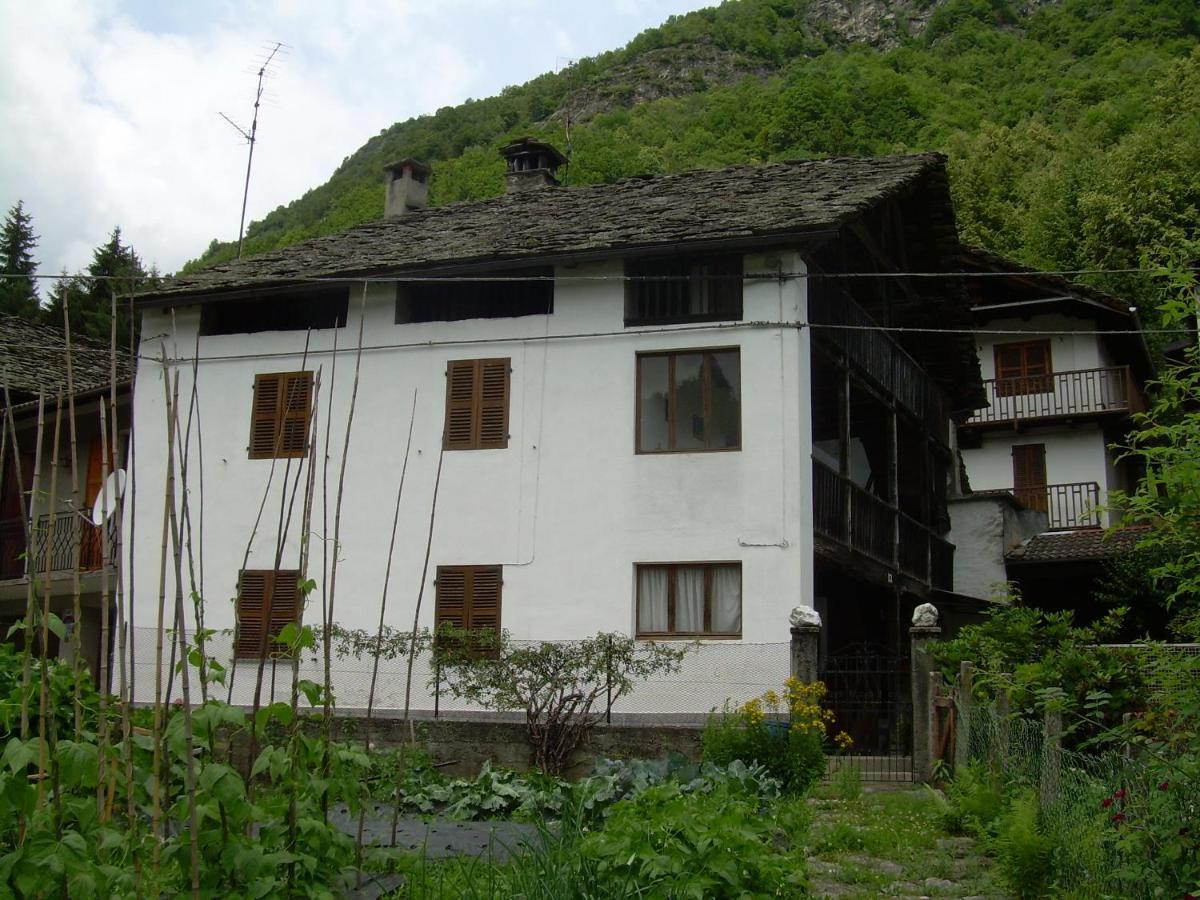 Le Mie Radici Bed & Breakfast สโกเปลโล ภายนอก รูปภาพ